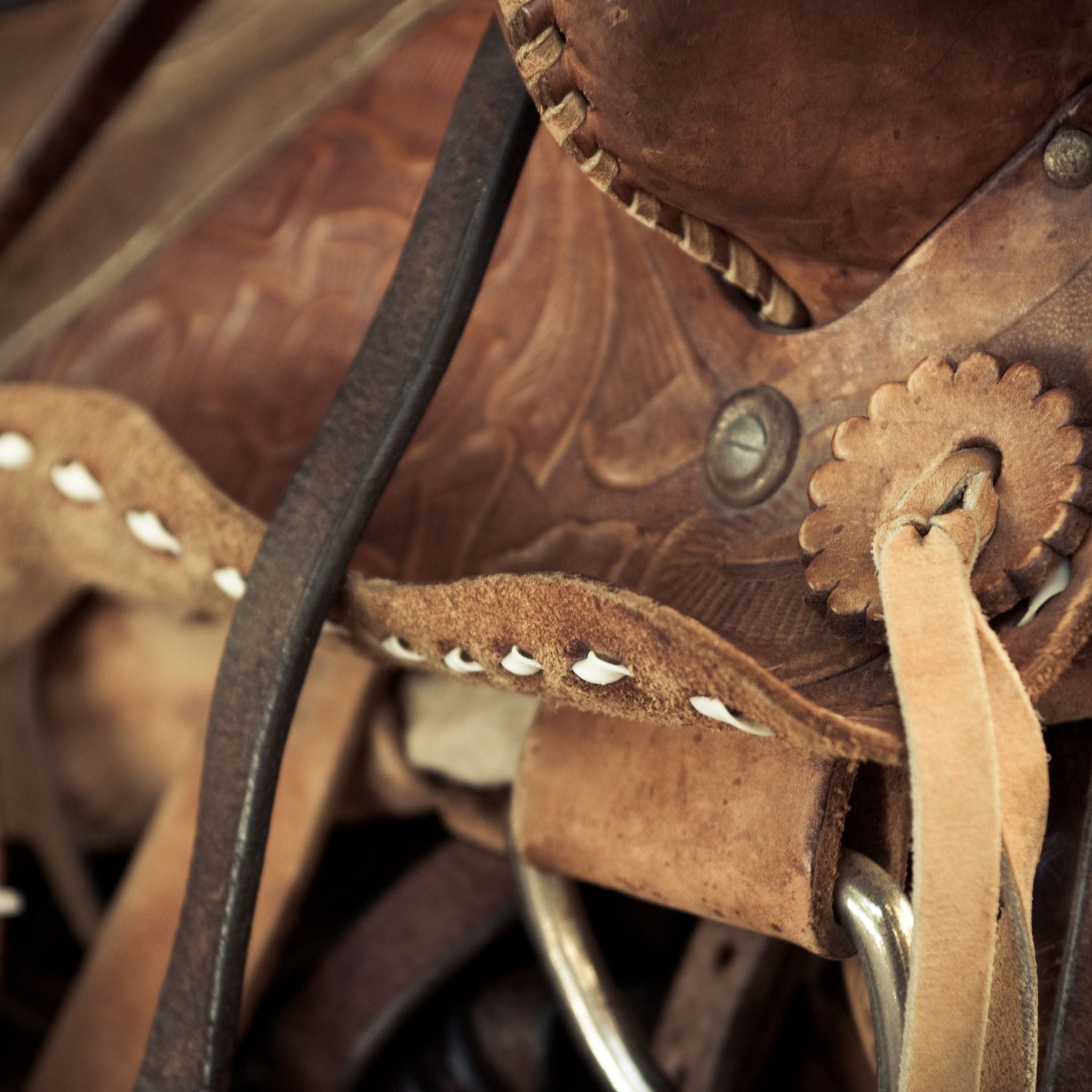 SaddleLeather
