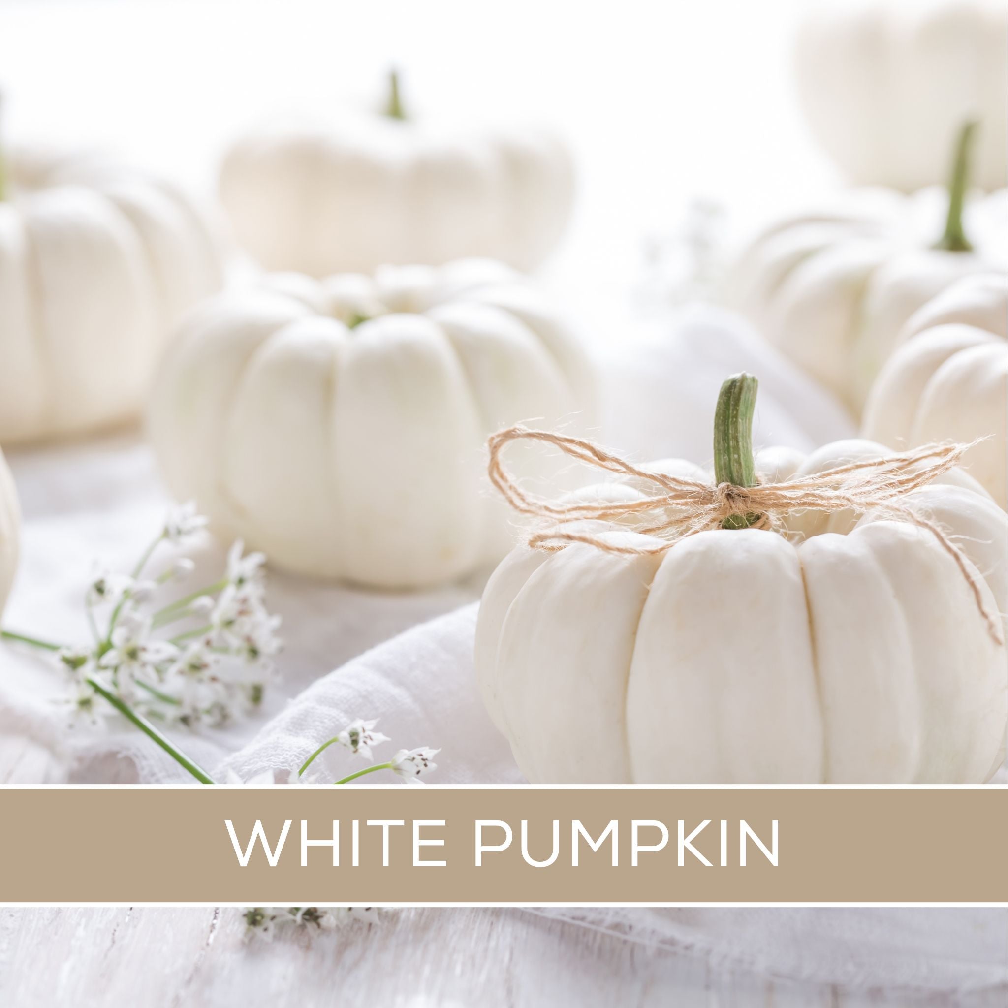 WhitePumpkin